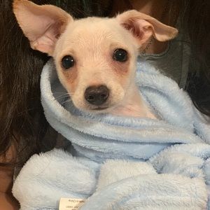 Meet your Posher, Maya